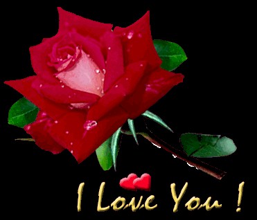 pleur